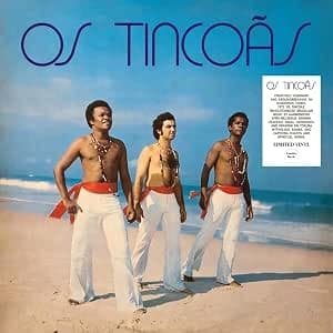Capa de Os Tincoas