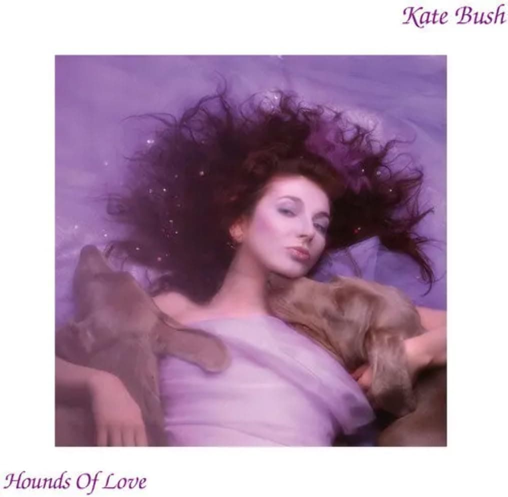 Hounds Of Love - 2018 Remaster 180gm Black Vinyl