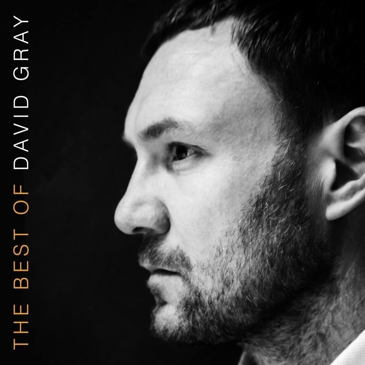 The Best Of David Gray [Disco de Vinil]