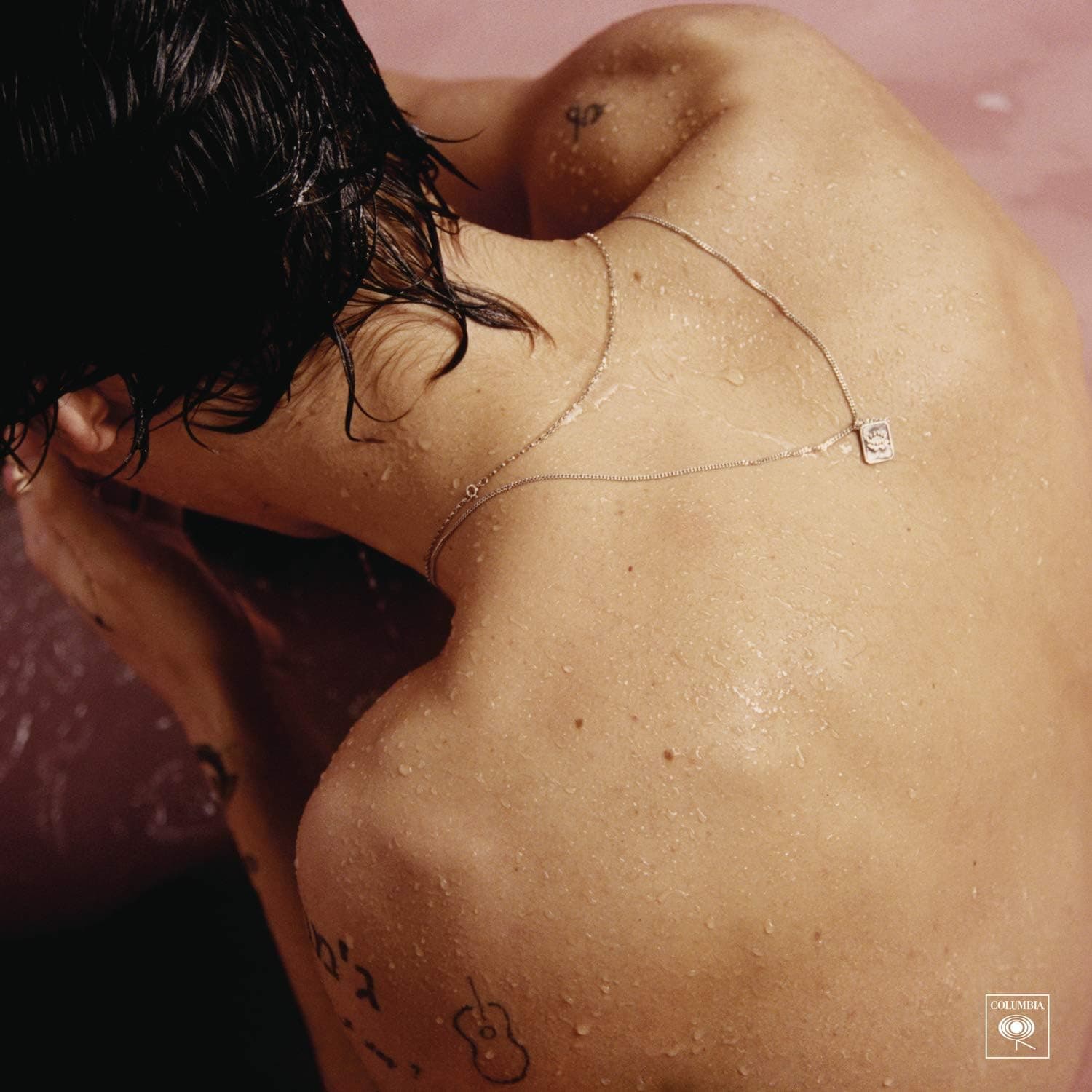 Capa de Harry Styles [Disco de Vinil]