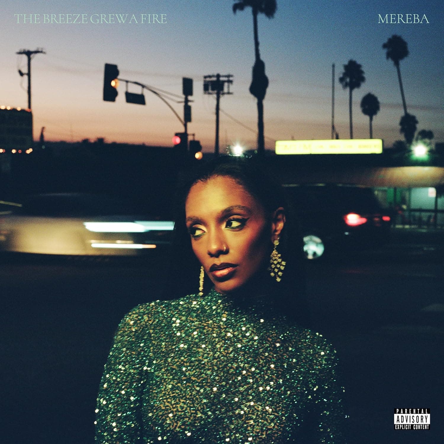 Capa de The Breeze Grew A Fire [VINYL]