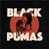 Capa de Black Pumas [Disco de Vinil]